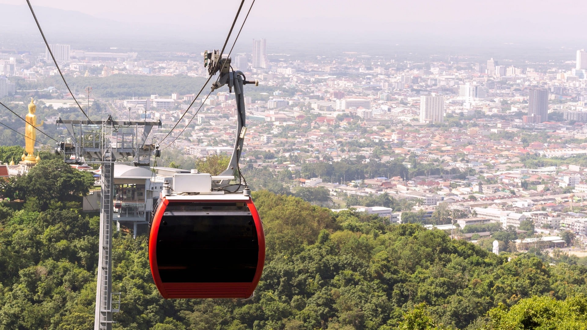 Whale Retreat Destination